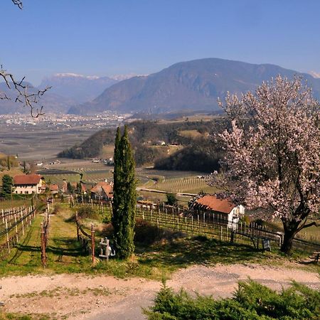 Firmelein Apartamento Appiano Sulla Strada Del Vino Exterior foto