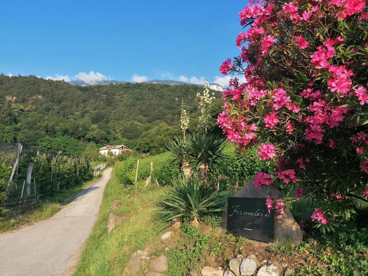 Firmelein Apartamento Appiano Sulla Strada Del Vino Exterior foto