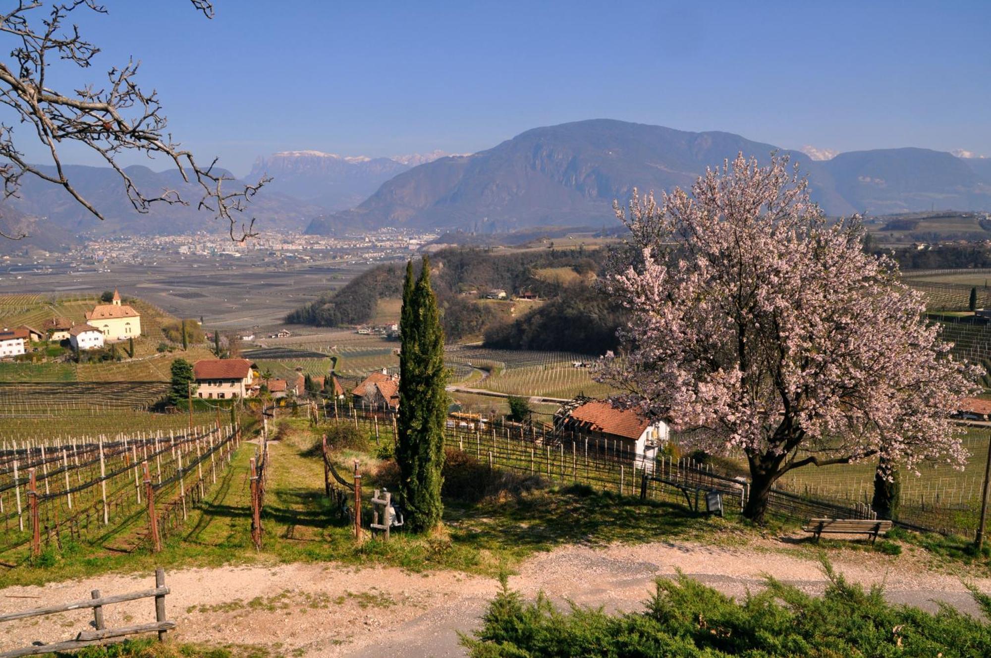 Firmelein Apartamento Appiano Sulla Strada Del Vino Exterior foto